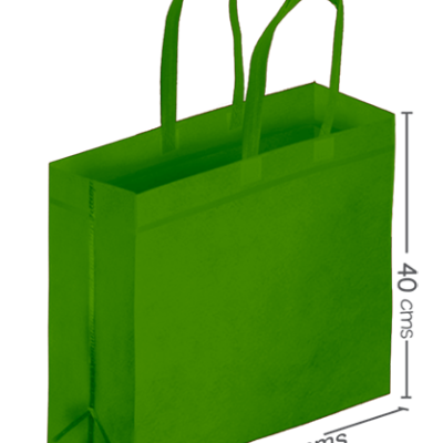 BOLSA SHOPPING