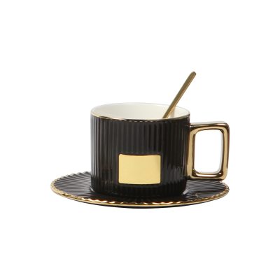 TAZA HOLLY