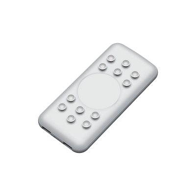 POWER BANK HOBOT